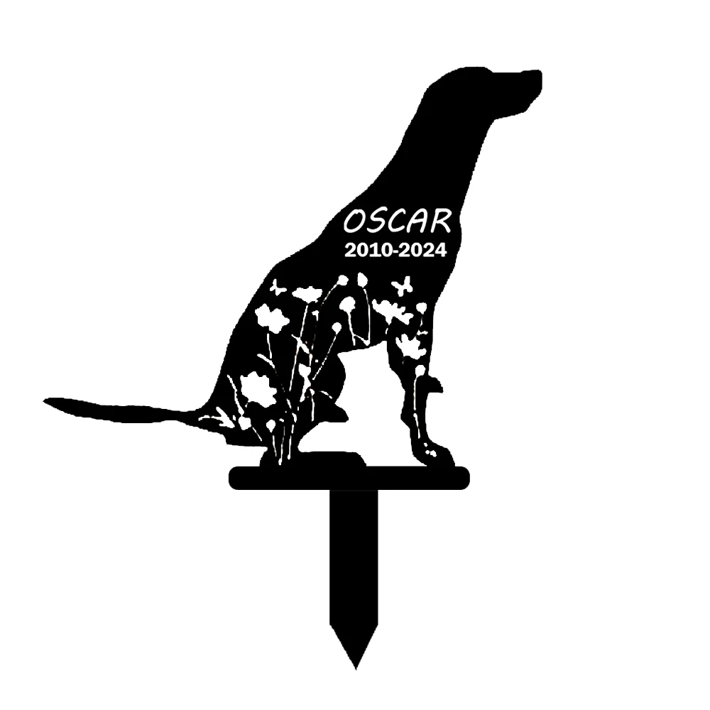 Image du produit 14