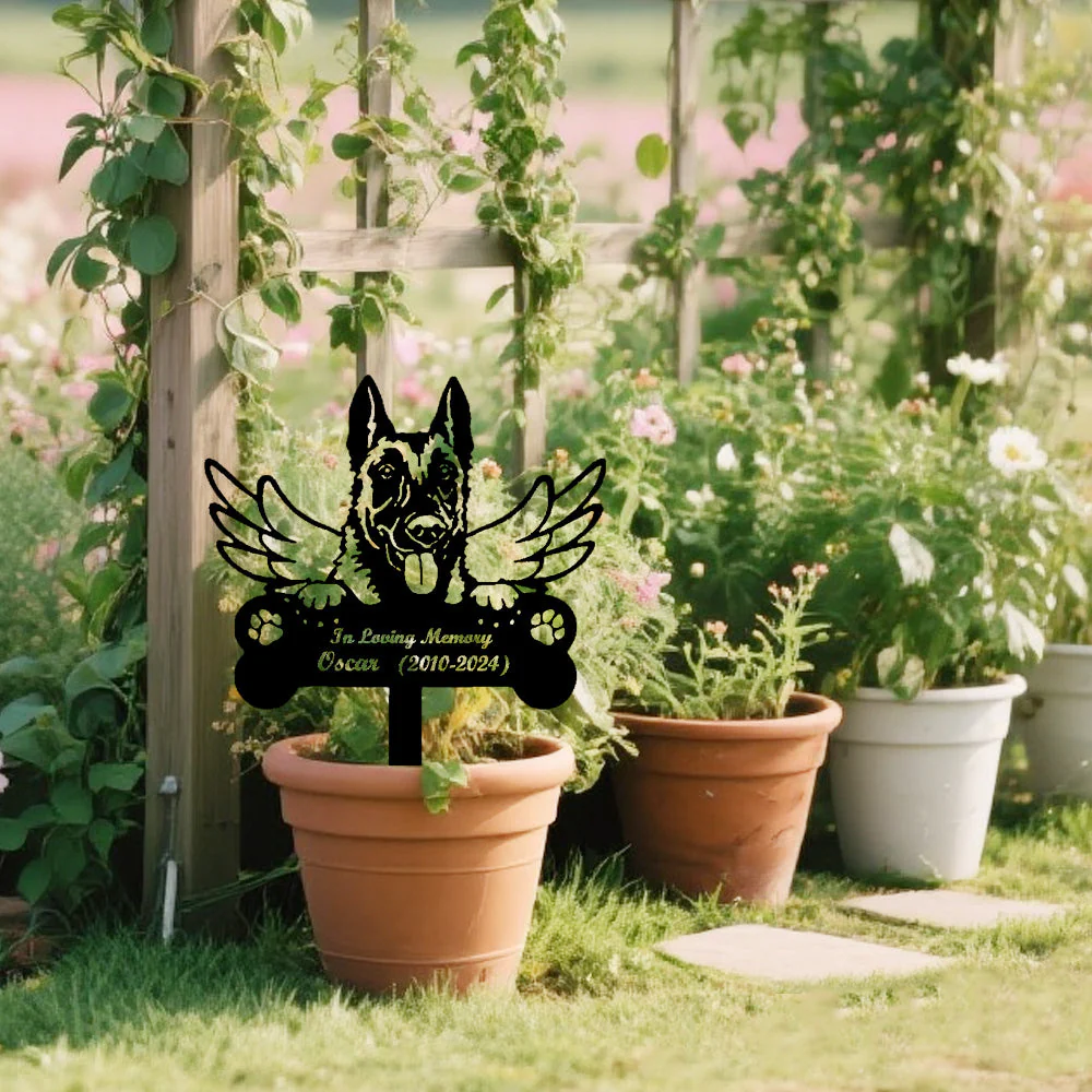 Image du produit 6