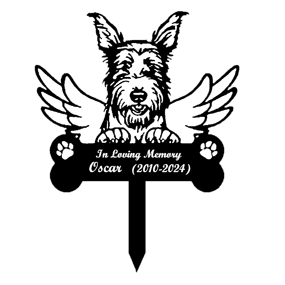 Image du produit 16