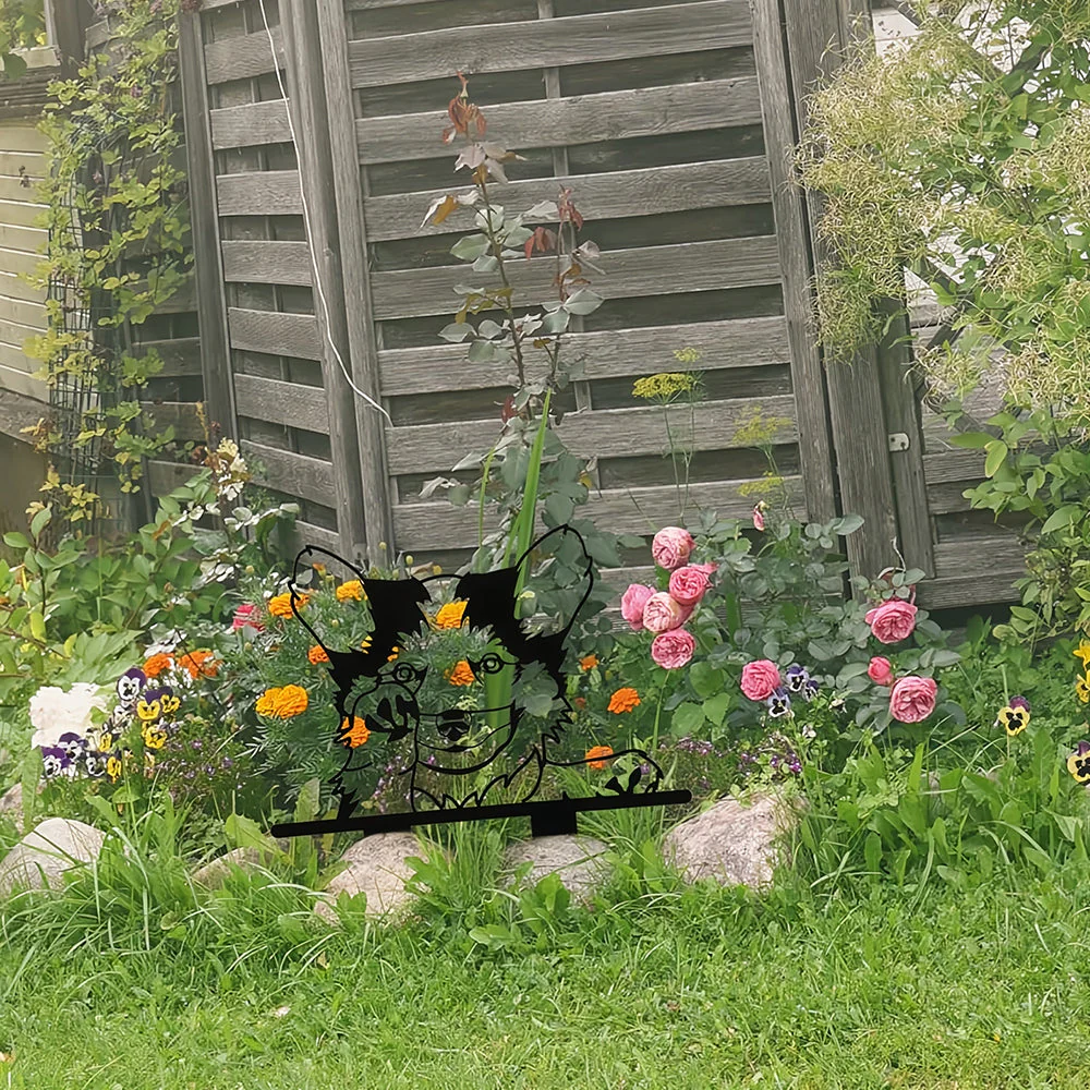 Image du produit 7