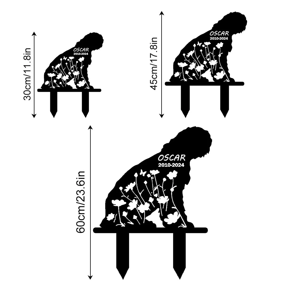 Image du produit 13