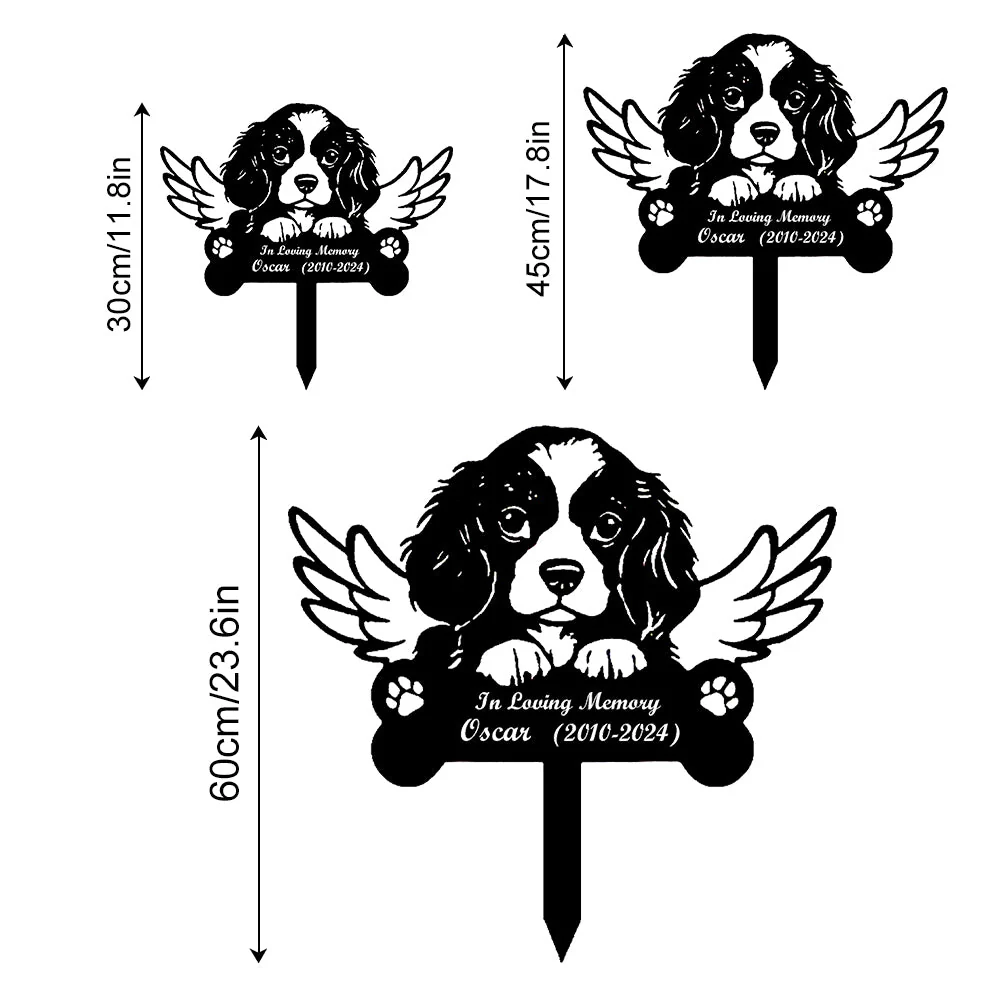 Image du produit 13