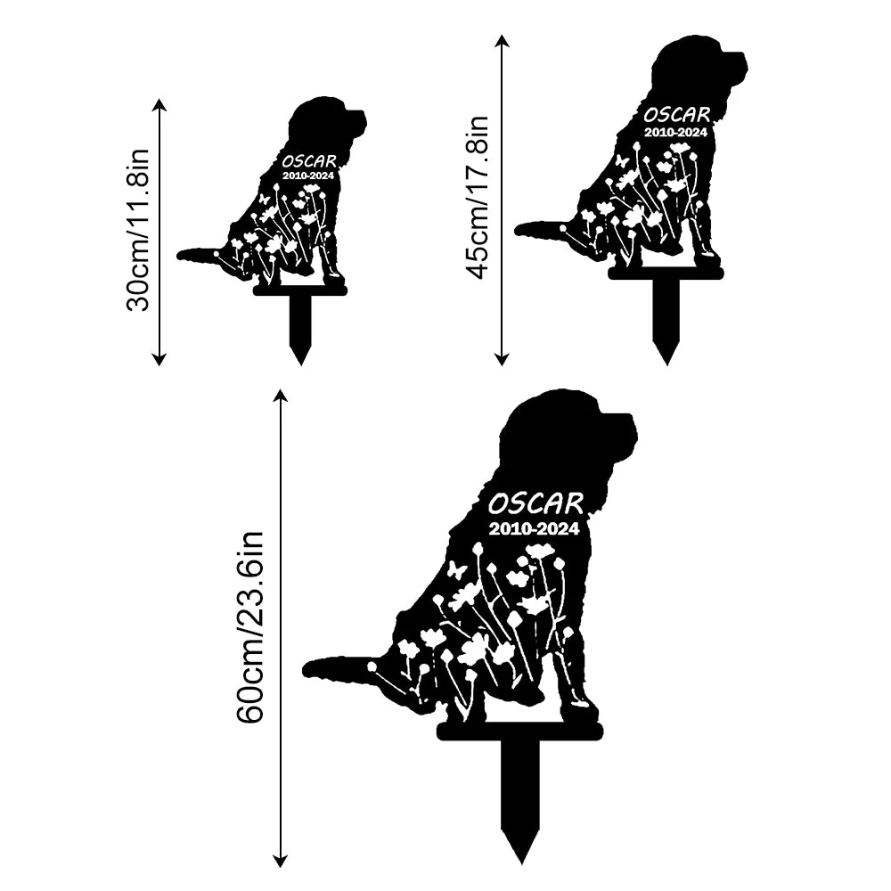 Image du produit 13