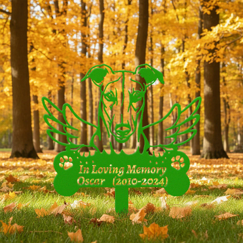 Image du produit 10
