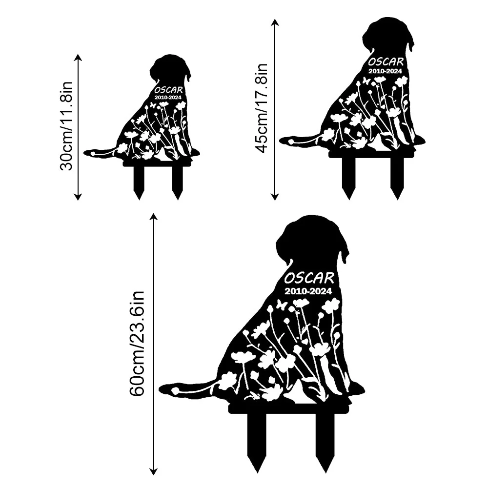 Image du produit 12