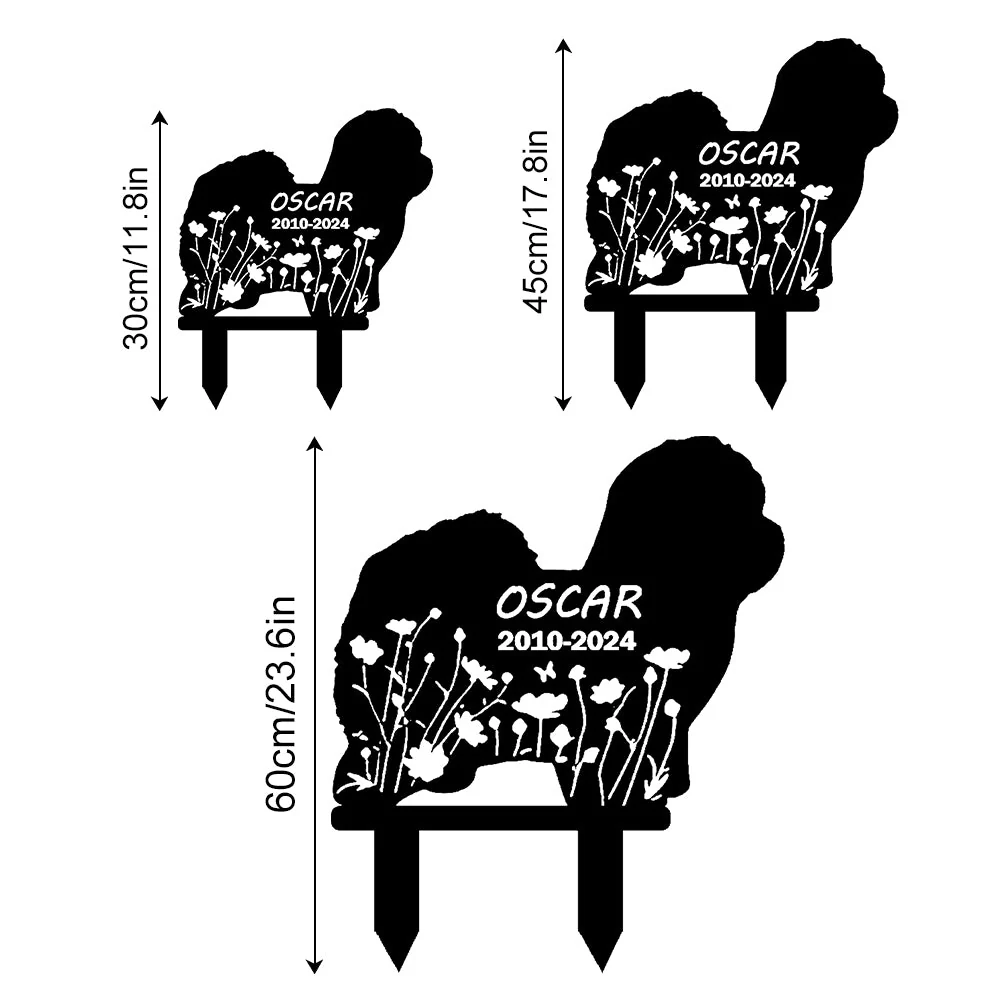 Image du produit 12