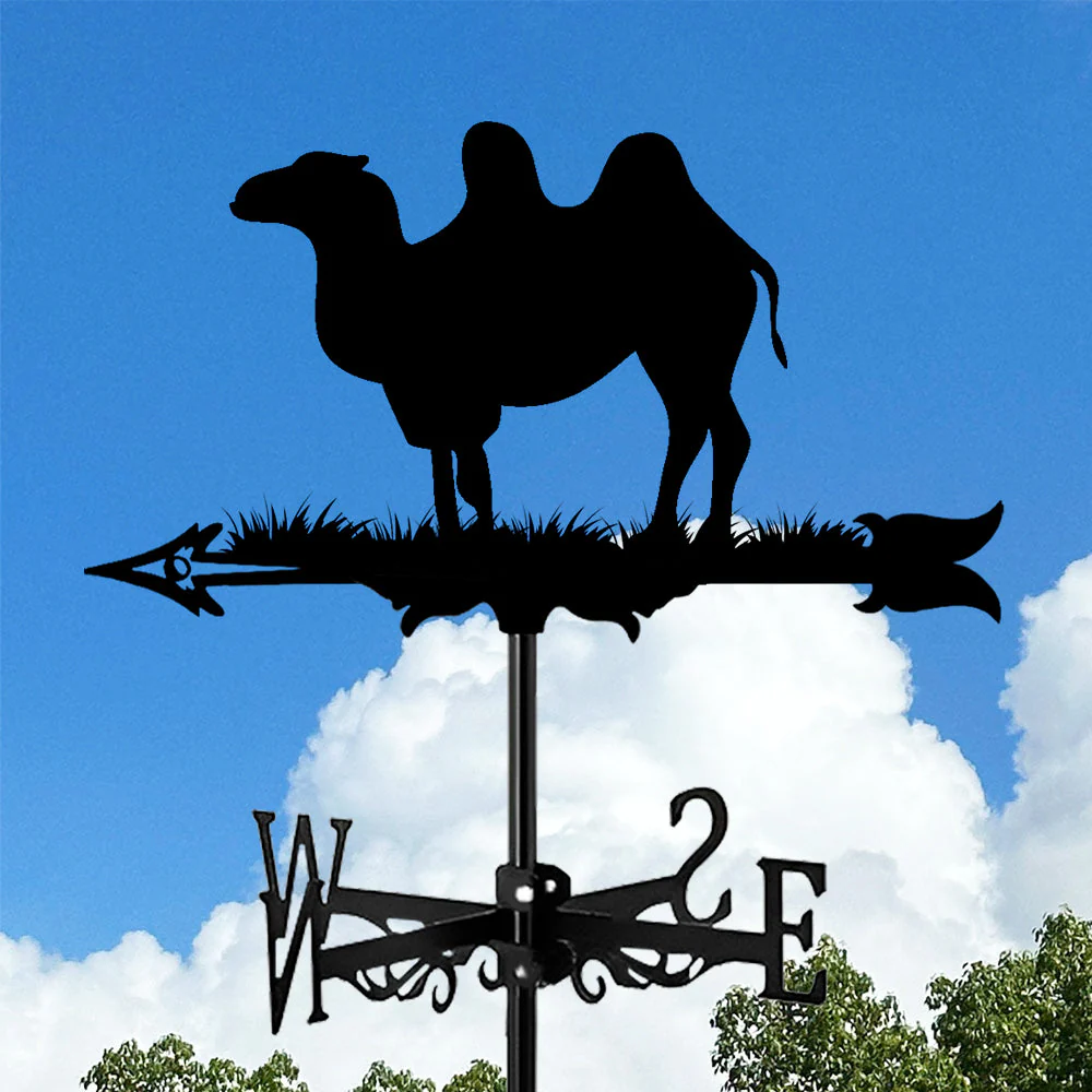 Image du produit 12