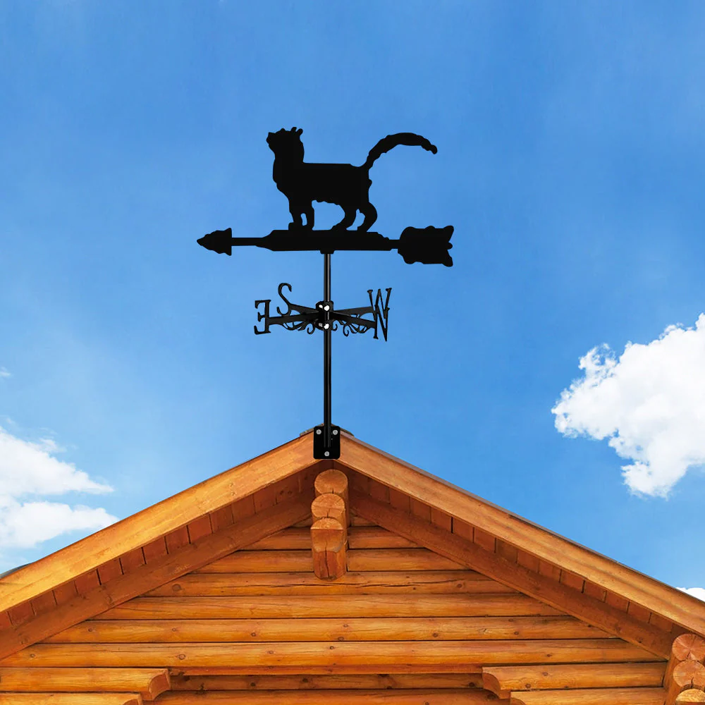 Image du produit 12