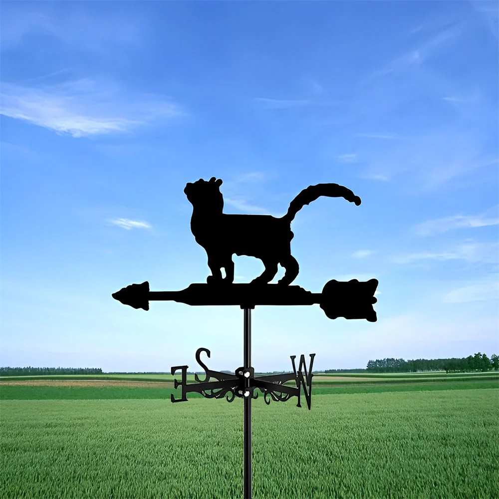 Image du produit 13