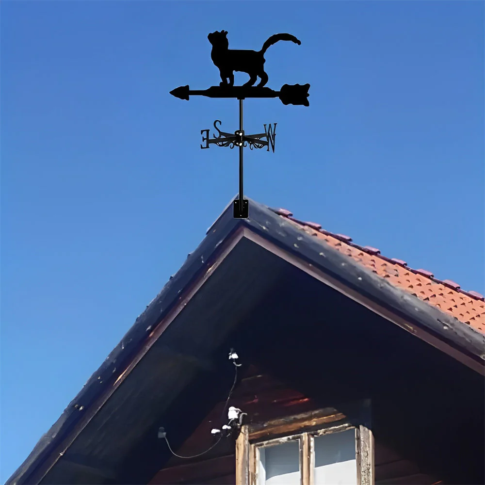 Image du produit 14
