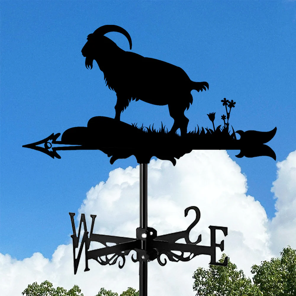 Image du produit 9