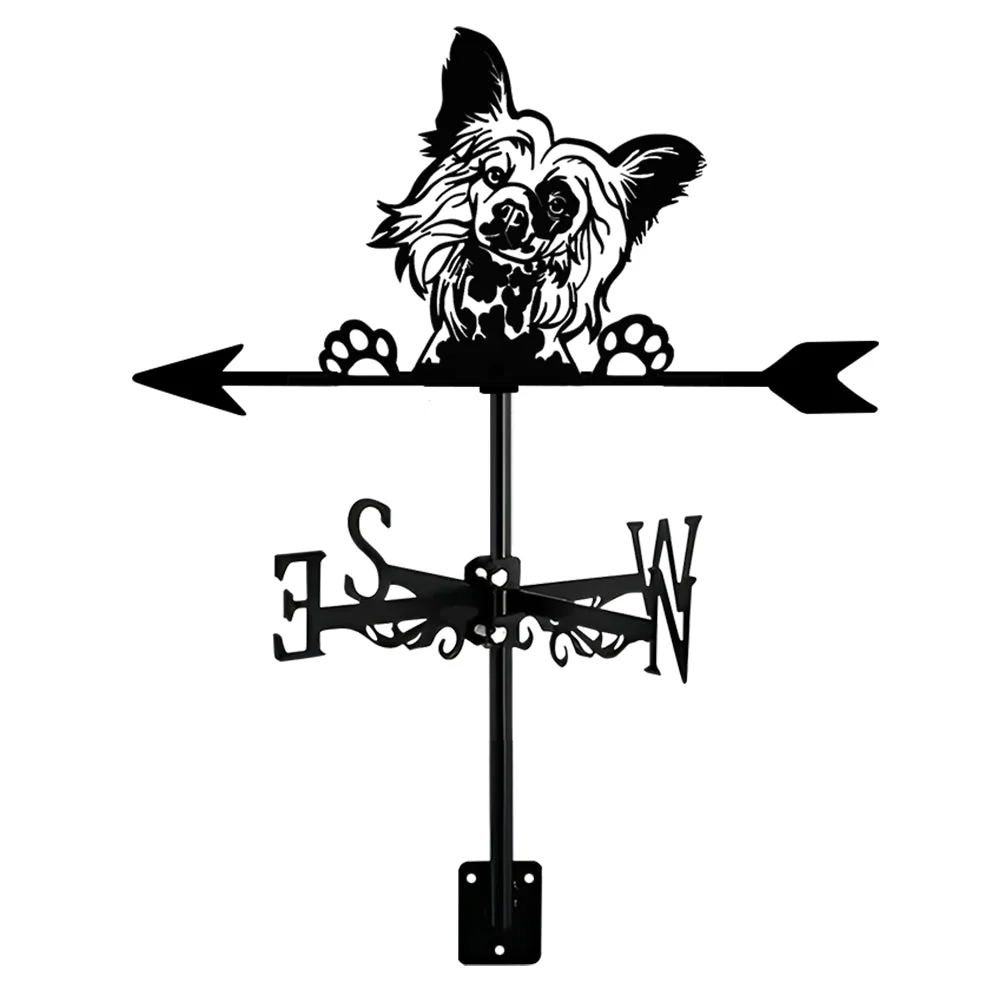 Image du produit 15