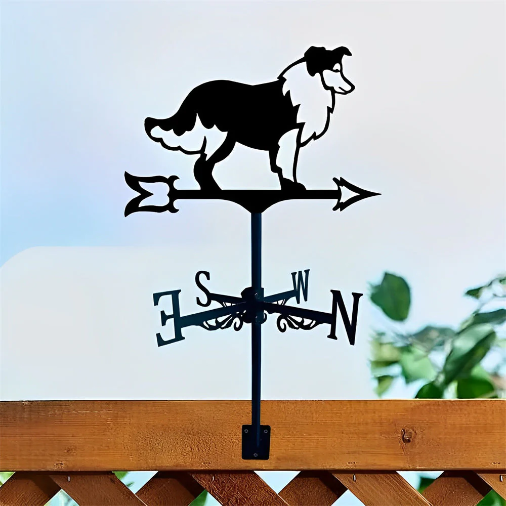 Image du produit 8