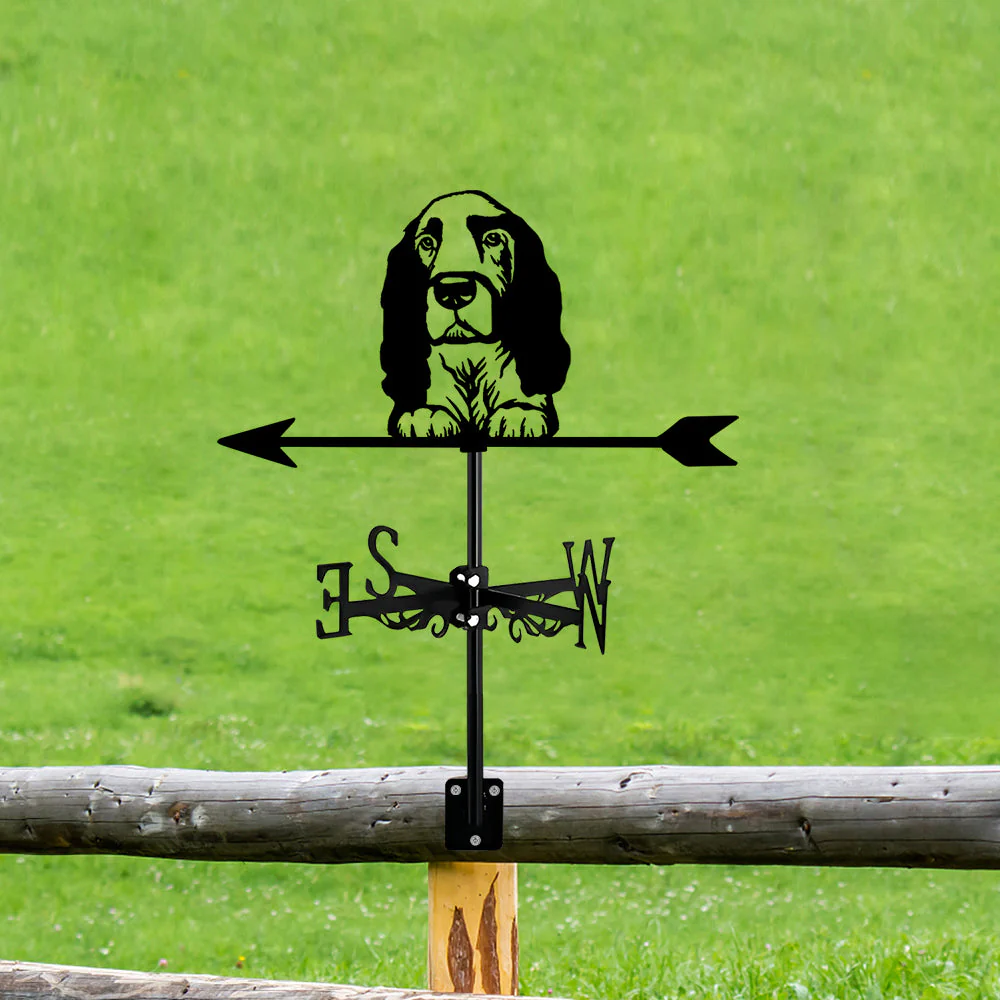 Image du produit 11