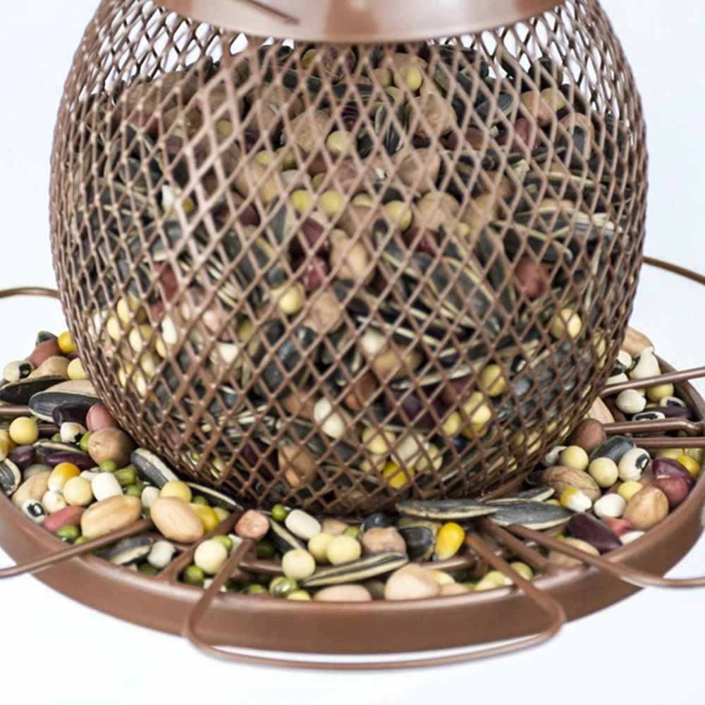 Image du produit 12